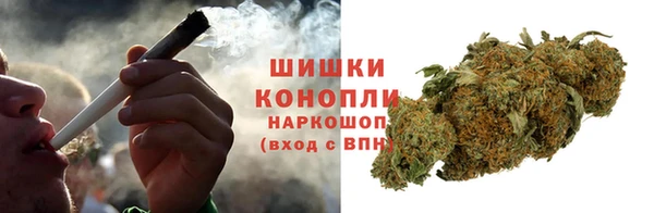 PSILOCYBIN Армянск