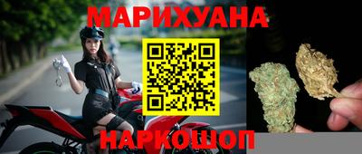 индика Заводоуковск