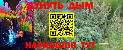 Альфа ПВП Заволжье