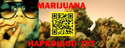 индика Заводоуковск