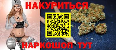 индика Заводоуковск