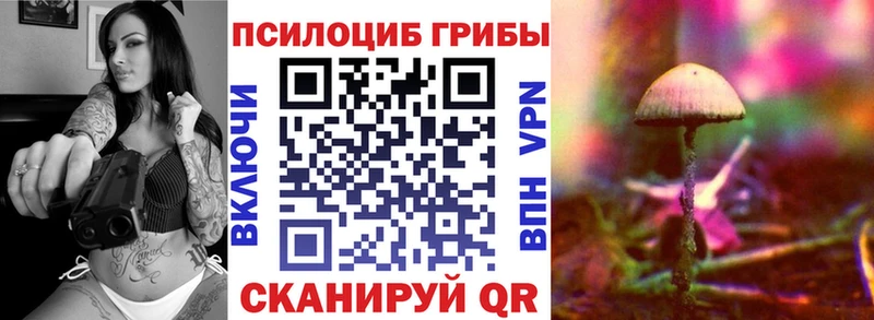 наркотики Набережные Челны Галлюциногенные грибы Psilocybe